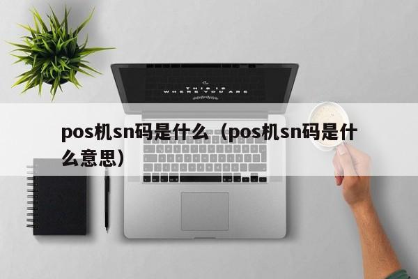 pos机sn码是什么（pos机sn码是什么意思）