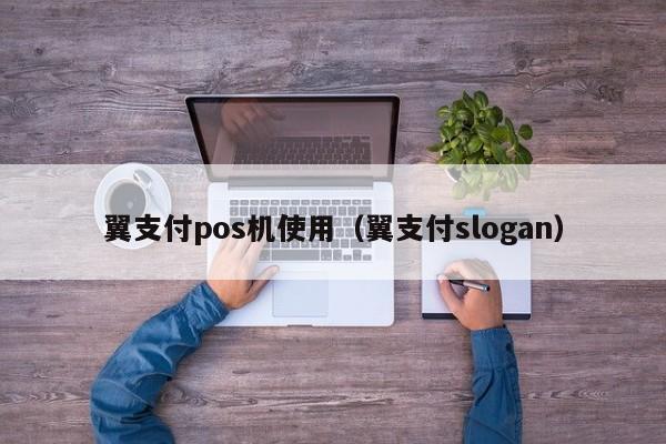 翼支付pos机使用（翼支付slogan）