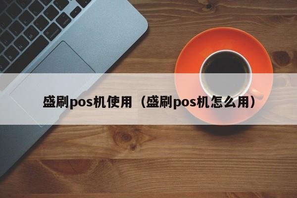 盛刷pos机使用（盛刷pos机怎么用）