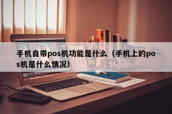 手机自带pos机功能是什么（手机上的pos机是什么情况）