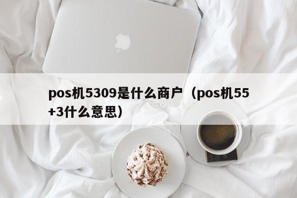 pos机5309是什么商户（pos机55+3什么意思）