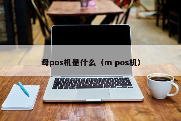 母pos机是什么（m pos机）