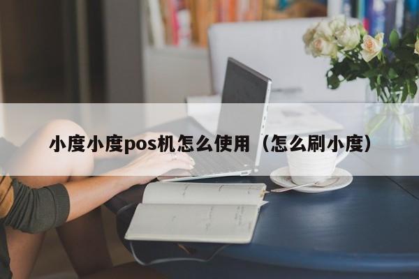 小度小度pos机怎么使用（怎么刷小度）