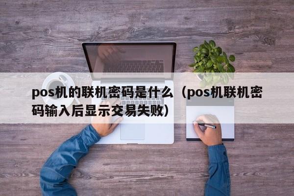 pos机的联机密码是什么（pos机联机密码输入后显示交易失败）