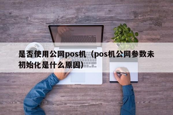 是否使用公网pos机（pos机公网参数未初始化是什么原因）